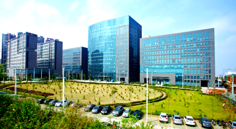 红色党建研学活动在生态园基地的规范化组织与安全保障方案